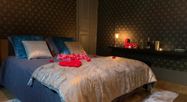 Апартаменты Superior The down town Nenad's SPA