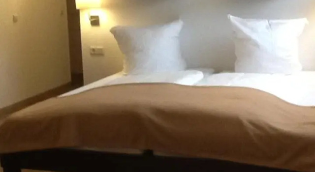 Семейный номер Standard Hotel-Pension zum Paradies