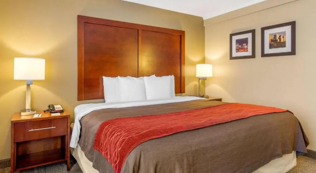 Номер Standard Holiday Inn Express Denver Central - North