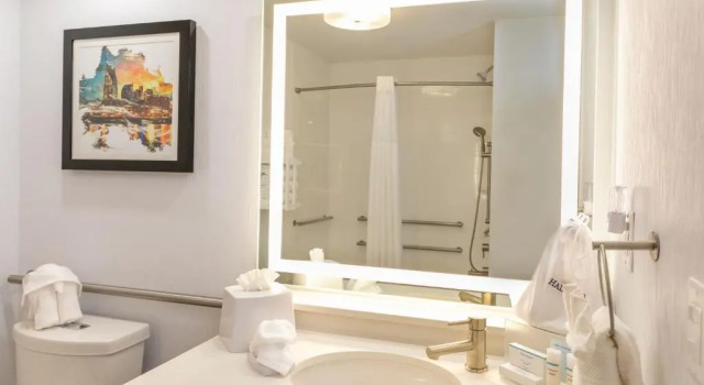 Двухместный Accessible  номер Hampton Inn & Suites Nashville-Green Hills
