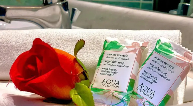 Двухместный номер Standard Hotel Terme Luna