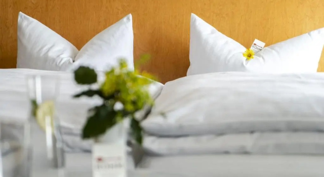 Номер Superior Hotel & Apartments Böhm