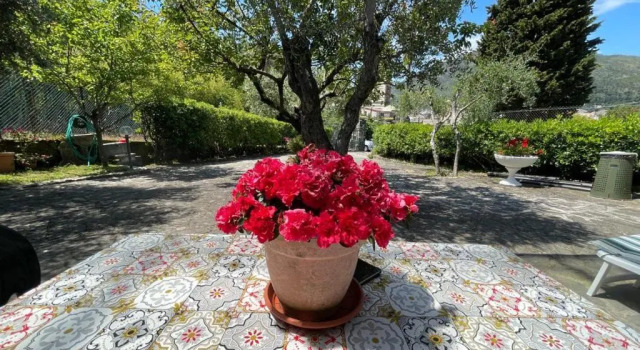 Rosy apartment - Levanto, 5 Terre