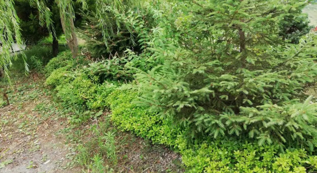 Вилла 3 yatak odalı dublex villa