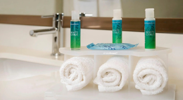 Четырёхместный номер Standard Holiday Inn Express & Suites Bay City by IHG