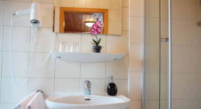 Двухместный номер Standard Gasthaus und Landhotel Wiedmann