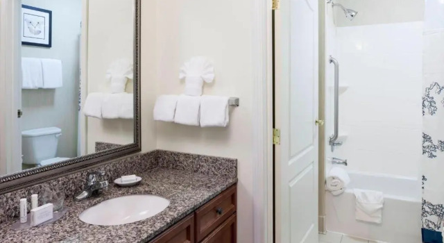 Двухместный люкс c 1 комнатой Residence Inn by Marriott Manassas Battlefield Park