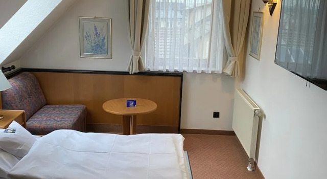 Одноместный номер Business Hotel Seebach