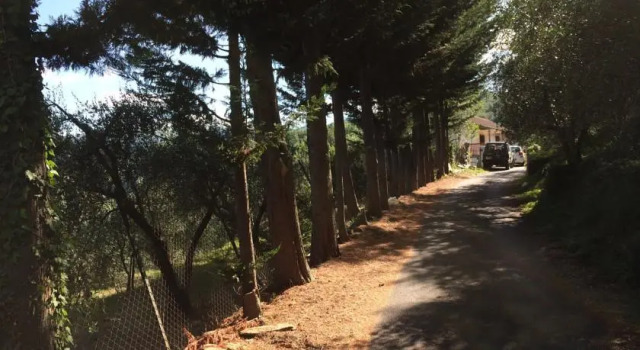 Villa Ulivo, Prenota Villa Aurigo Liguria