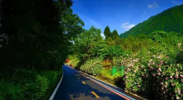 Youyang Meiju Homestay, Boek Hotel Hotels in Chengdu met parkeren, Parkeren