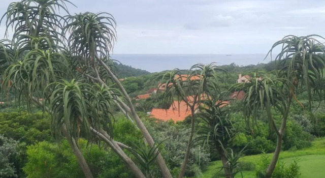Коттедж Zimbali 28 Club Drive