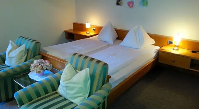 Двухместный номер Standard Мансарда Hotel Schönbrunn