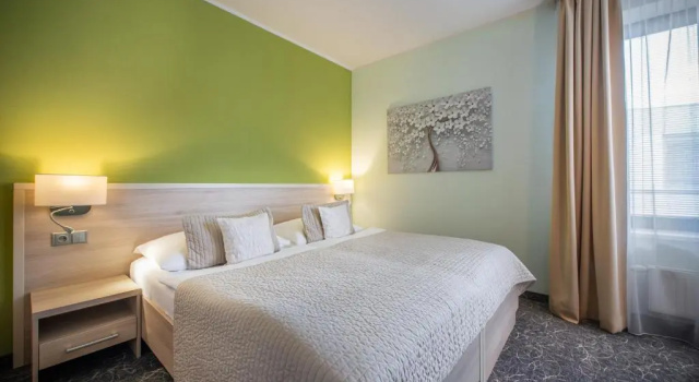 Двухместный номер Comfort Hotel Mlynska