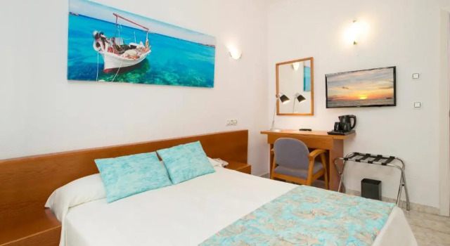 Одноместный номер Hotel Tropical