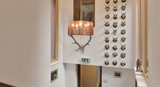 Haus Anna Apartments