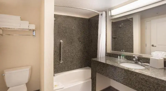 Двухместный номер Standard c 1 комнатой Holiday Inn Scottsdale North- Airpark by IHG