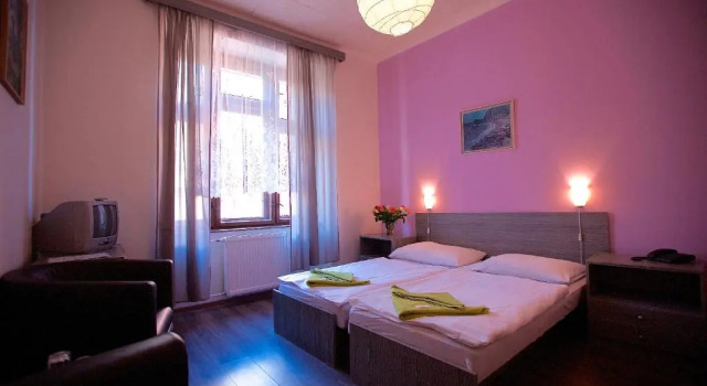 Habitación individual Estándar Hotel Olga