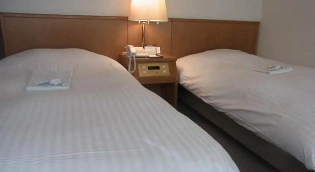 Двухместный номер Standard Hotel New Mogamiya