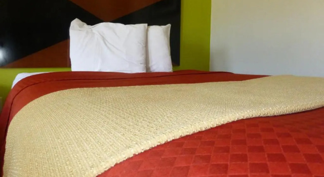 Четырёхместный номер Standard Coach Inn - Summerville