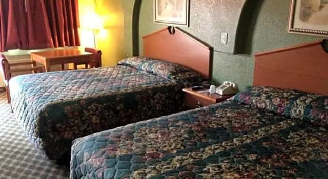 Четырёхместный номер Standard Budget Inn
