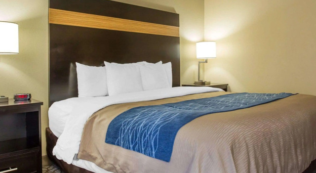 Двухместный номер Standard Comfort Inn & Suites at Stone Mountain