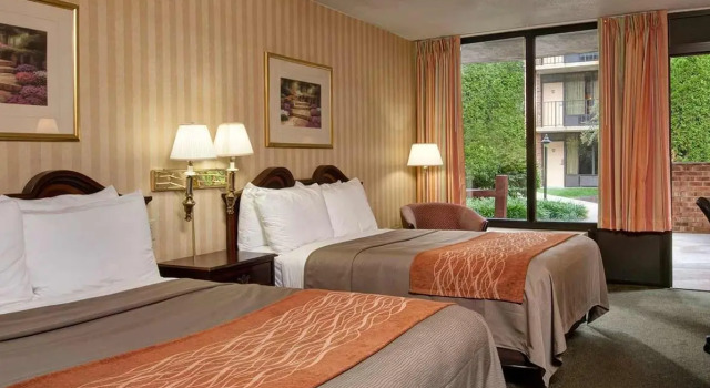 Номер Standard Quality Inn Vienna - Tysons Corner