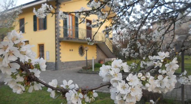 B&B Pervinca, Prenota Bed & breakfast Rocca Grimalda Piemonte