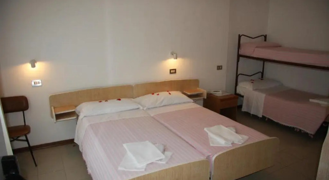 Одноместный номер Hotel Orchidea Rimini