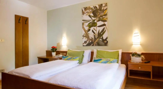Двухместный номер Standard Chalet Madrisa