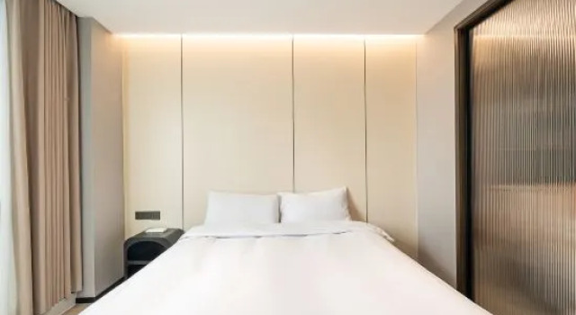 Люкс Deluxe Shijia Homestay (Lujiazui Shanghai Branch)