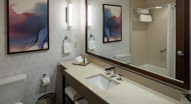 Номер Standard с балконом Hilton Asheville Biltmore Park