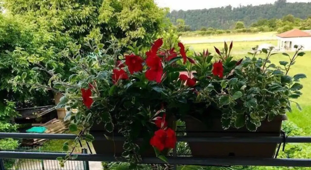 Номер Comfort Le vigne sull’Adda
