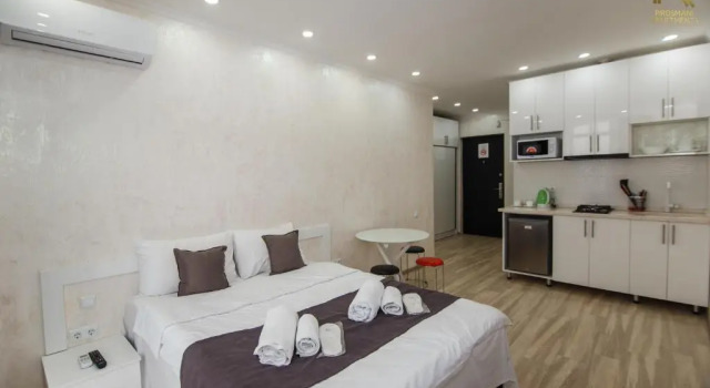 Апартаменты с видом на горы PIROSMANI APARTMENTS 18d