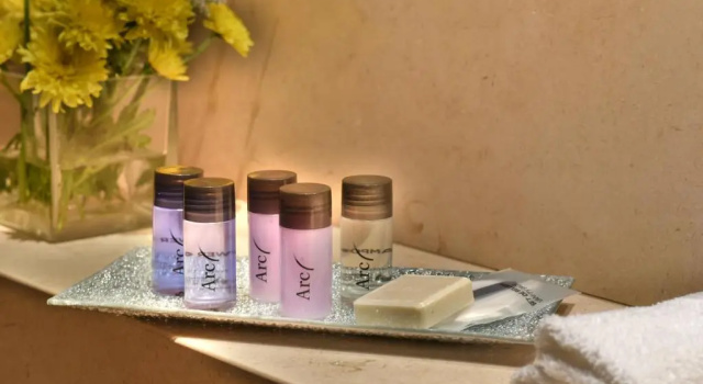 Двухместный номер Superior ARC Recoleta Boutique Hotel & Spa