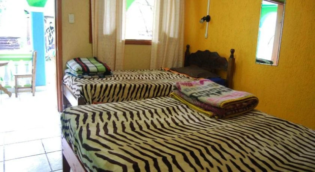 Iguana Hostel, Забронировать Хостел Сан-Кристобаль-де-лас-Касас Чьяпас, рядом с Central Plaza &amp; Park