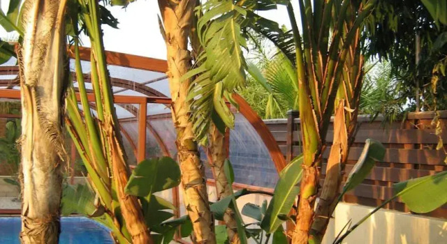 Avgi House