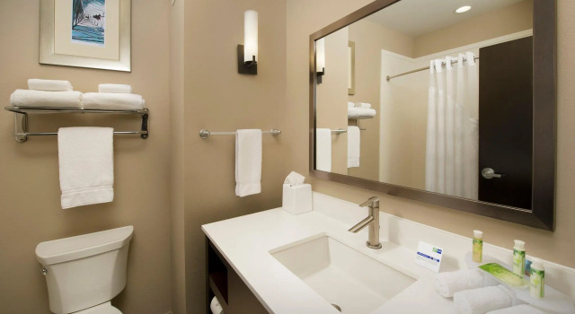 Двухместный номер Standard Holiday Inn Express Hotel & Suites Waco South by IHG