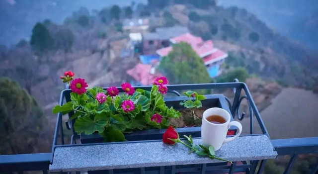 Номер Luxury Astra Resort and Caffe Kasauli