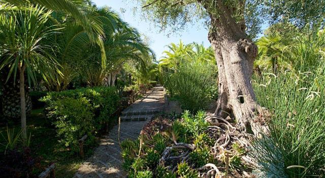 Residence Solemaremma