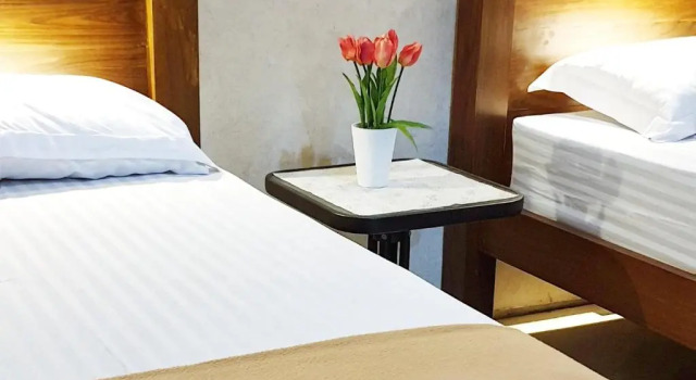 Maple Tree Homestay, Book Hotel Kejayan 