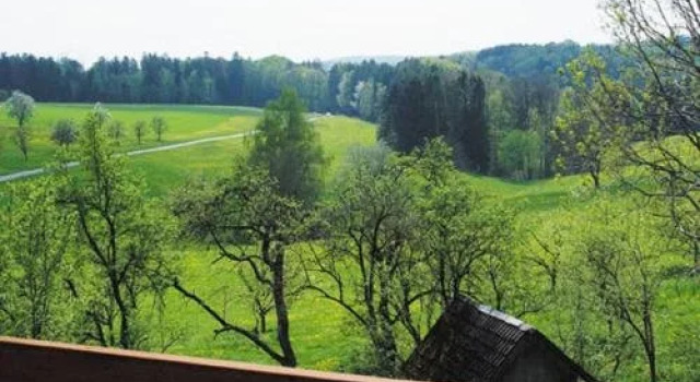 Gasthaus zur Krone, Réserver Hôtel Freiamt Brisgau