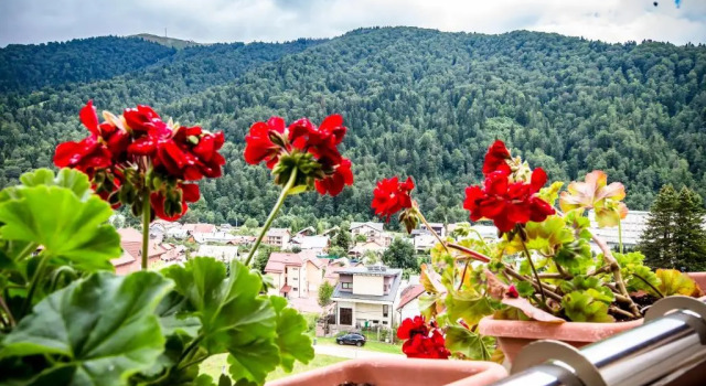 Апартаменты HOTEL CARPAT INN