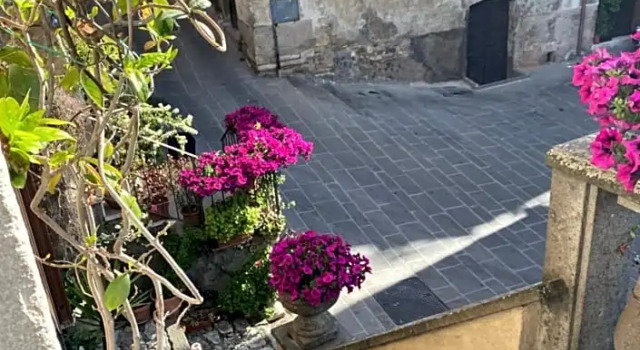 B&B La Torretta, Prenota Bed & breakfast Orte Tuscia