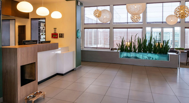 Element Lexington Hotel, Rezerwuj Hotel Hotele w New England z basenem, Basen