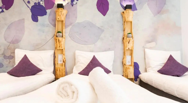 Трёхместный номер Classic Hotel Pagi