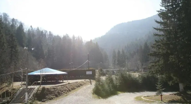 Pension Floarea Reginei, Забронировать Гостевой дом Гостевые дома Prahova Valley, Гостевой дом