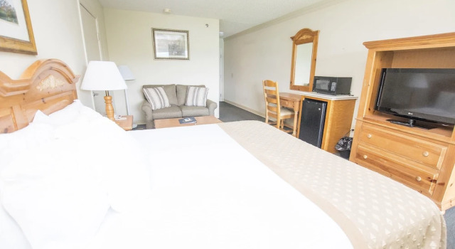 Одноместный номер Standard c 1 комнатой с видом на озеро Lake Chatuge Lodge
