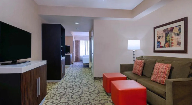 Двухместный полулюкс Hilton Garden Inn Las Vegas Strip South