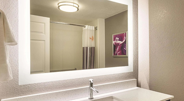 Двухместный номер Standard La Quinta by Wyndham Atlanta Perimeter Medical