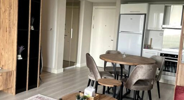 Modern 1 1 Apartment w Terrace Near Mail of IST